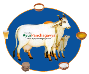 panchagavya
